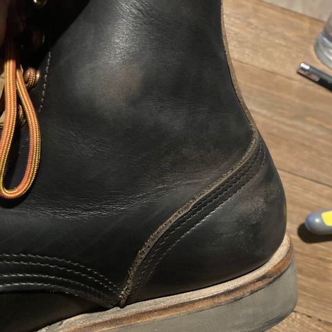 Nicks Free Range in Horween Black Chromexcel