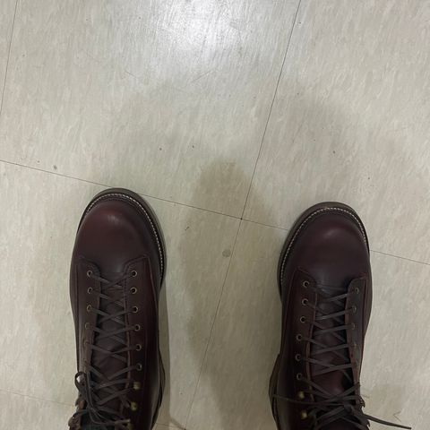 Caswell Carver 2 in Chestnut Oiled Latigo
