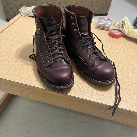 Caswell Carver 2 in Chestnut Oiled Latigo