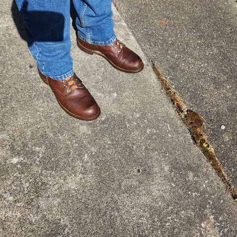 Red Wing Iron Ranger in S.B. Foot Amber Harness