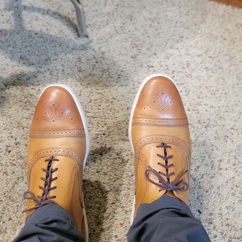 Allen Edmonds Strand Sneaker in Walnut Calfskin