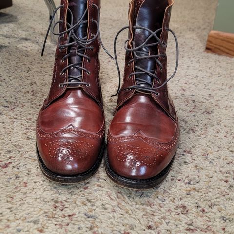 Allen Edmonds Dalton Wingtip Dress Boot in Horween Color 8 Shell Cordovan
