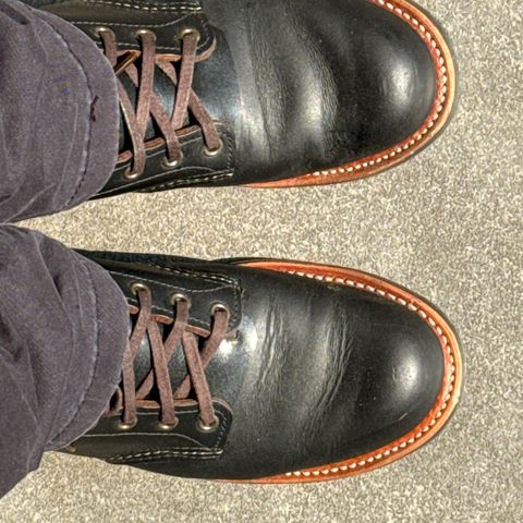 Red Wing Blacksmith in S.B. Foot Black Prairie