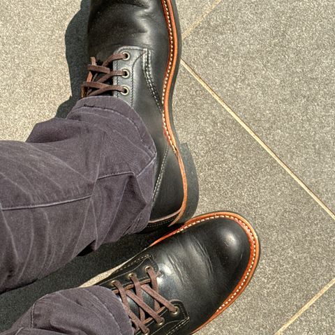 Red Wing Blacksmith in S.B. Foot Black Prairie
