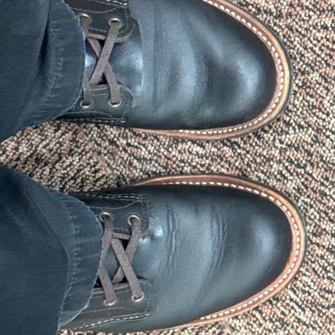 Red Wing Blacksmith in S.B. Foot Black Prairie