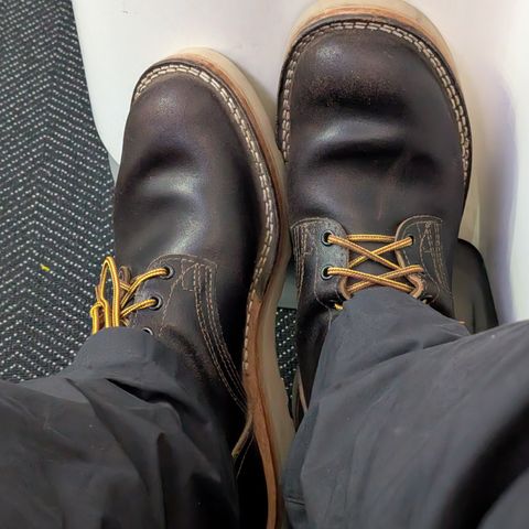 Nicks MTO in Horween Brown Waxed Flesh