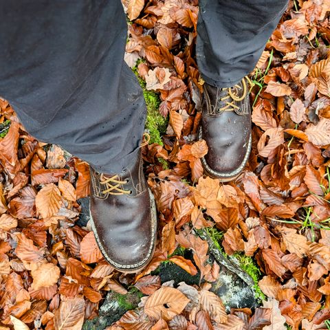 Nicks MTO in Horween Brown Waxed Flesh