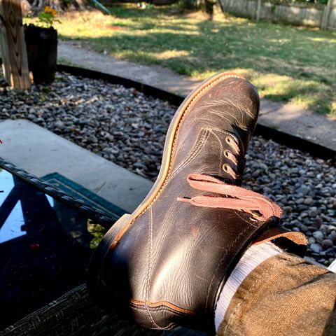 Red Wing Blacksmith in S.B. Foot Black Prairie