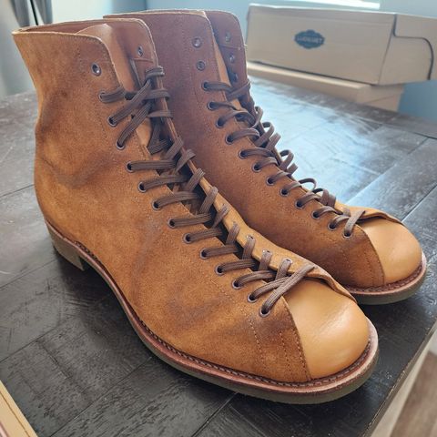 Dr. Sole Pioneer in Dr. Sole / Tan Roughout