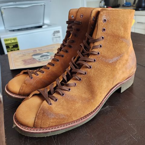 Dr. Sole Pioneer in Dr. Sole / Tan Roughout