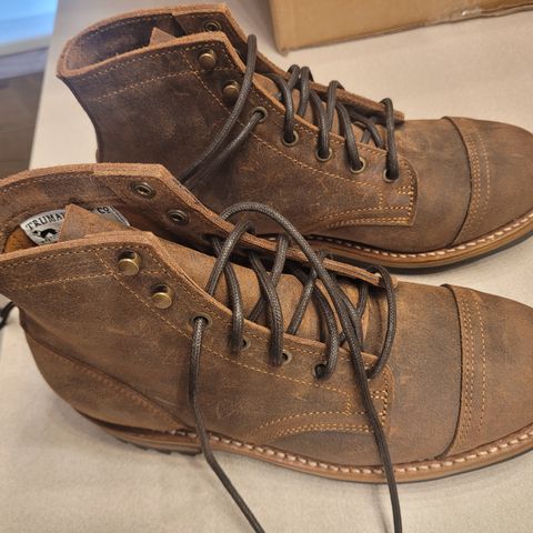 Truman Cap Toe Boot in C.F. Stead Snuff Waxy Commander Suede