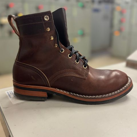 Nicks Falcon in Italian Brown Cypress