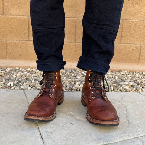 Nicks Falcon in Italian Brown Cypress