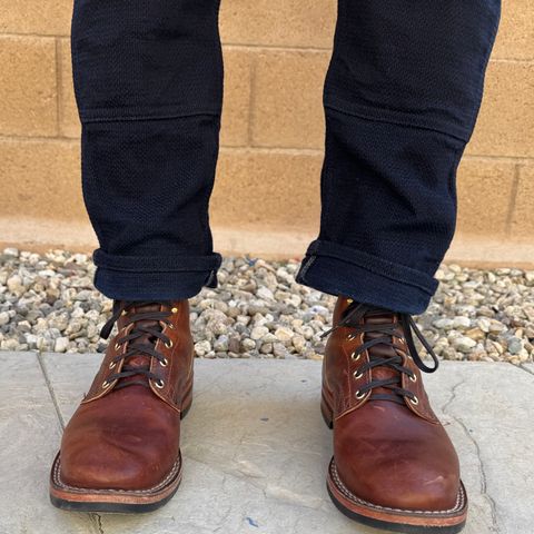 Nicks Falcon in Italian Brown Cypress