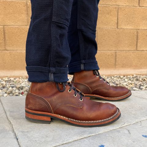 Nicks Falcon in Italian Brown Cypress