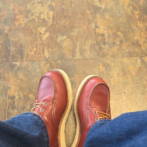 Red Wing 6-Inch Classic Moc in S.B. Foot Oro Russet Portage