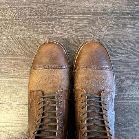 Viberg Service Boot BCT in C.F. Stead Gobi Regency Calf