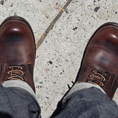 Viberg Service Boot in Horween Rowdy Dachshund