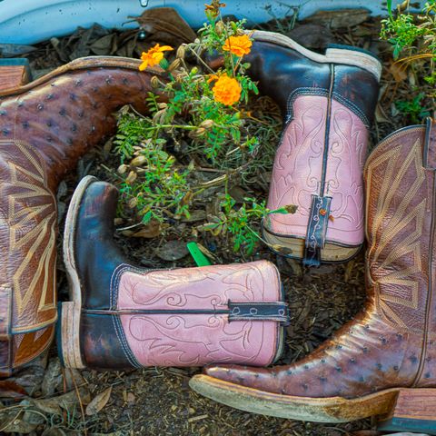 DIY Cowboy Boot in Kango Tobac Ostrich