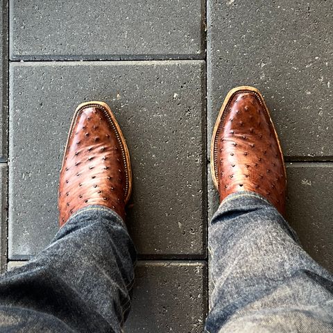 DIY Cowboy Boot in Kango Tobac Ostrich