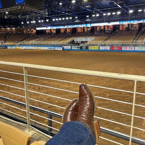 DIY Cowboy Boot in Kango Tobac Ostrich