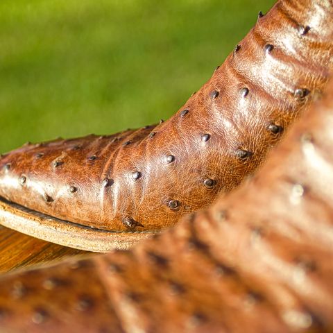 DIY Cowboy Boot in Kango Tobac Ostrich