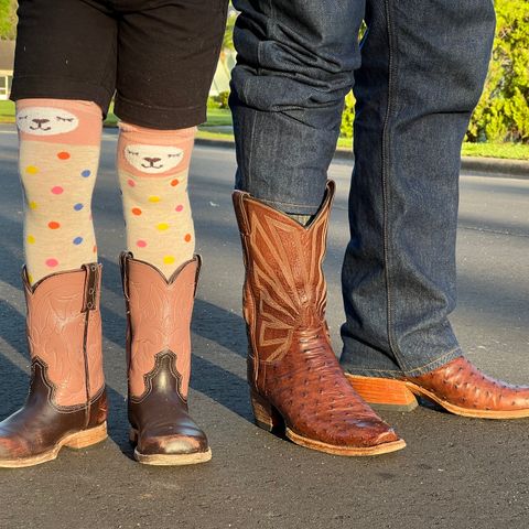 DIY Cowboy Boot in Kango Tobac Ostrich