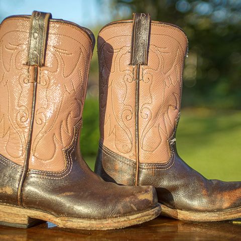 DIY Cowboy Boot in Water Buffalo