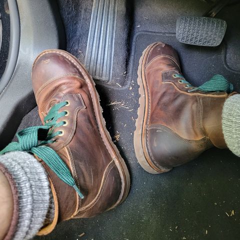 Jim Green Numzaan in Jim Green / Pull - Up Bronco