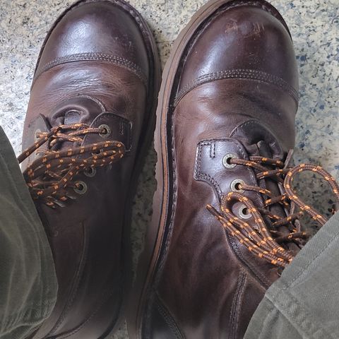 Jim Green Numzaan in Jim Green / Pull - Up Bronco