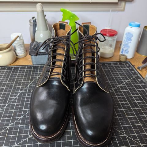 Arno Vishivanka in Maryam 1071 Pull-up Shell Cordovan