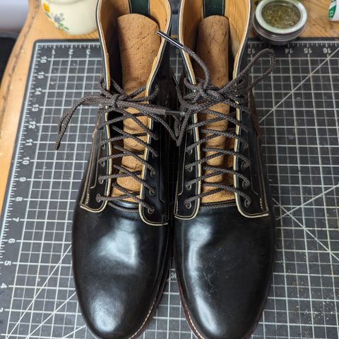 Arno Vishivanka in Maryam 1071 Pull-up Shell Cordovan