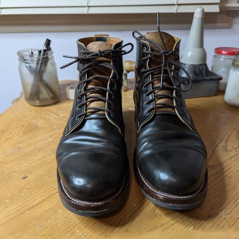 Arno Vishivanka in Maryam 1071 Pull-up Shell Cordovan