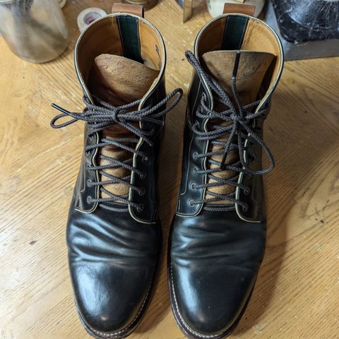 Arno Vishivanka in Maryam 1071 Pull-up Shell Cordovan
