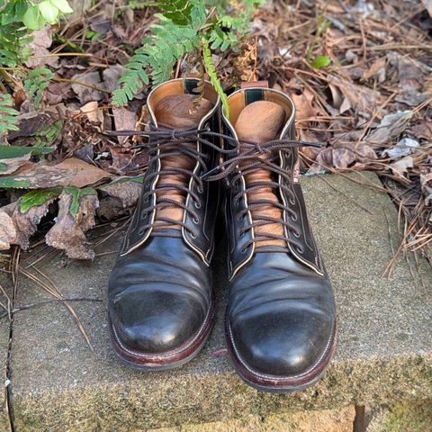 Arno Vishivanka in Maryam 1071 Pull-up Shell Cordovan