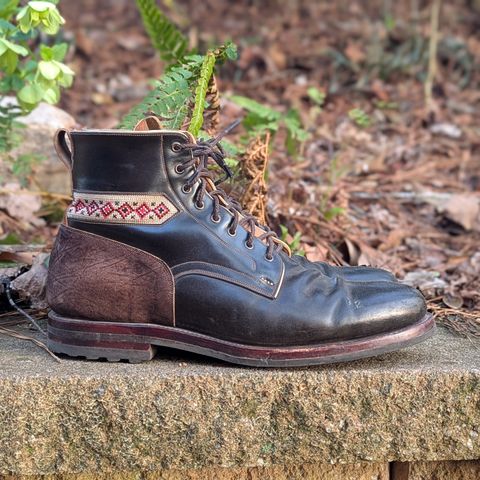 Arno Vishivanka in Maryam 1071 Pull-up Shell Cordovan