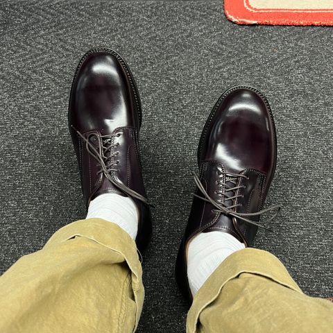 Alden Plain Toe Blucher in Horween Color 8 Shell Cordovan