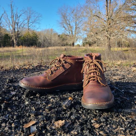 View photo of The Courteney Boot Company Safari (custom) in Mossop Leather - Dark Brown Bovine