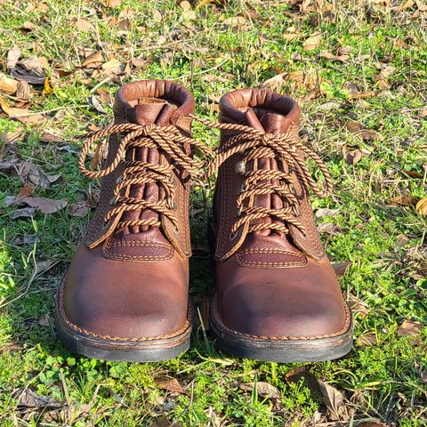 View photo of The Courteney Boot Company Safari (custom) in Mossop Leather - Dark Brown Bovine