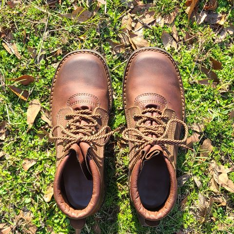 View photo of The Courteney Boot Company Safari (custom) in Mossop Leather - Dark Brown Bovine