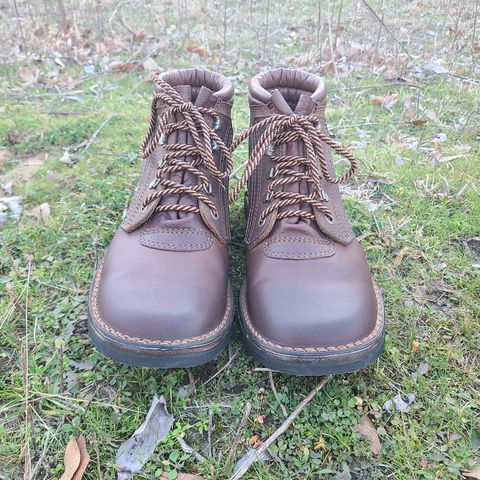 View photo of The Courteney Boot Company Safari (custom) in Mossop Leather - Dark Brown Bovine