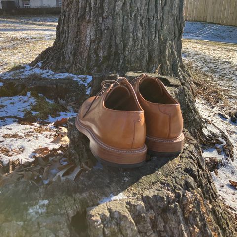 Grant Stone Plain Toe Blucher in Badalassi Carlo Saddle Tan Minerva
