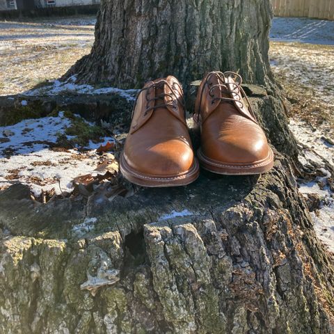 Grant Stone Plain Toe Blucher in Badalassi Carlo Saddle Tan Minerva