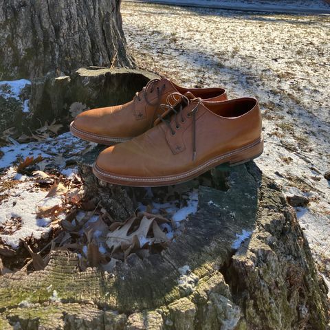 Grant Stone Plain Toe Blucher in Badalassi Carlo Saddle Tan Minerva