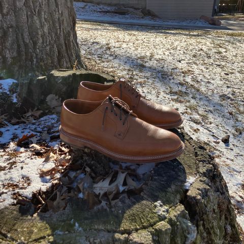 Grant Stone Plain Toe Blucher in Badalassi Carlo Saddle Tan Minerva