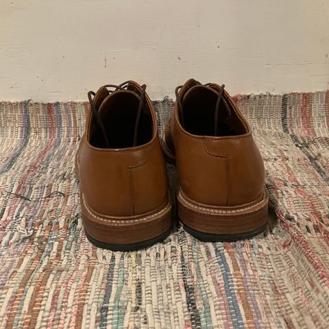 Grant Stone Plain Toe Blucher in Badalassi Carlo Saddle Tan Minerva