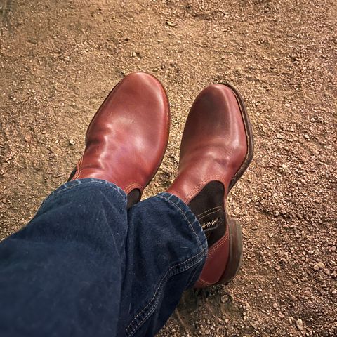 DIY Zip Boot in S.B Foot - Unknown & C.F. Stead Loden Repello Calf Suede