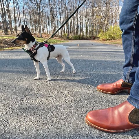 DIY Zip Boot in S.B Foot - Unknown & C.F. Stead Loden Repello Calf Suede