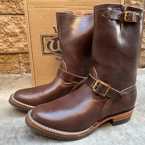View photo of Wesco Mister Lou in Maryam Brown Horsebutt