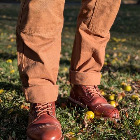 Parkhurst The Richmond in Maryam Bruciato TPR Horsebutt